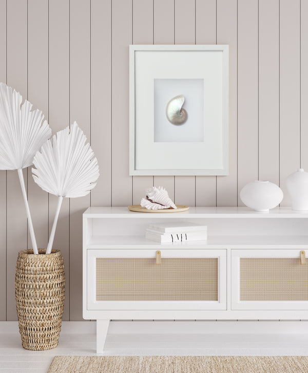 Framed Pearled Nautilus Shell Wall Art